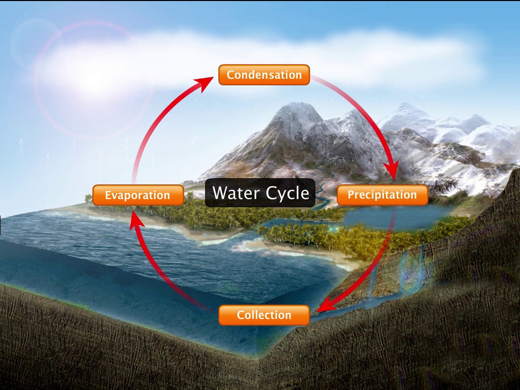 Water Cycle